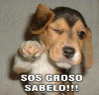 Avatar de Usuario
